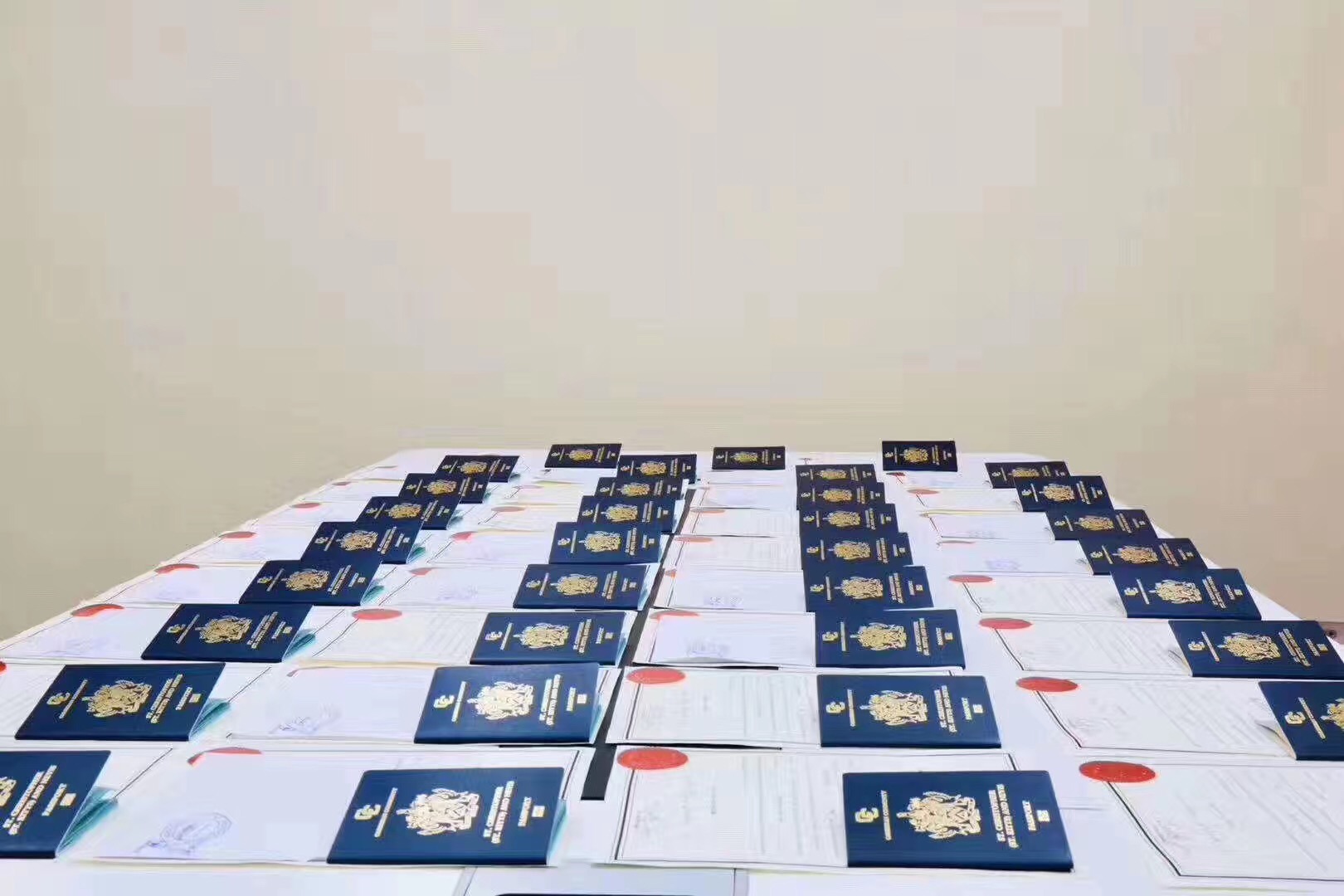 拿了圣基茨护照可以做什么，圣基茨护照有什么用？