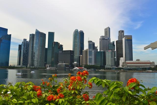 新加坡永居申请受哪些条件和因素影响？