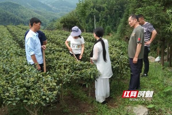 振兴库区乡村建设 宜章县库区移民事务中心在行动