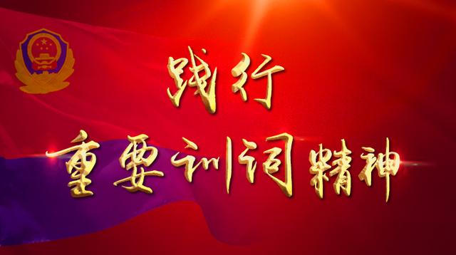 【践行重要训词精神】全国移民管理机构深化抗疫斗争一年来