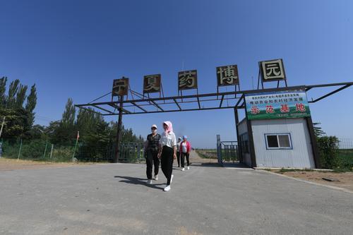 移民村里药香来，守住幸福稳当当