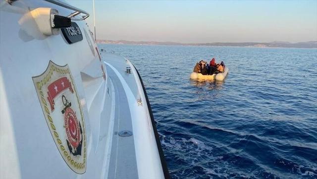 土耳其穆拉省抓获254名非法移民