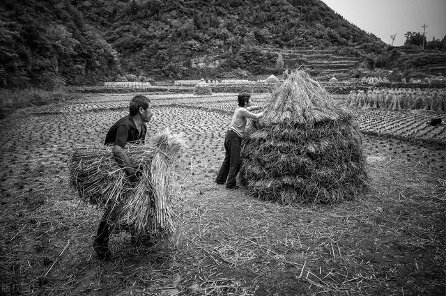 对山西洪洞大槐树移民的几点思考